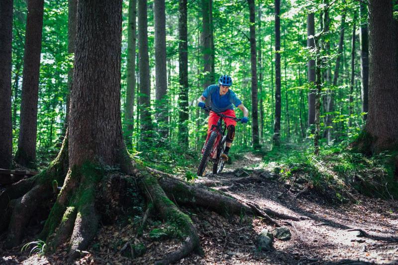 Ferienwohnungen Schantl Schoppernau Luaran gambar