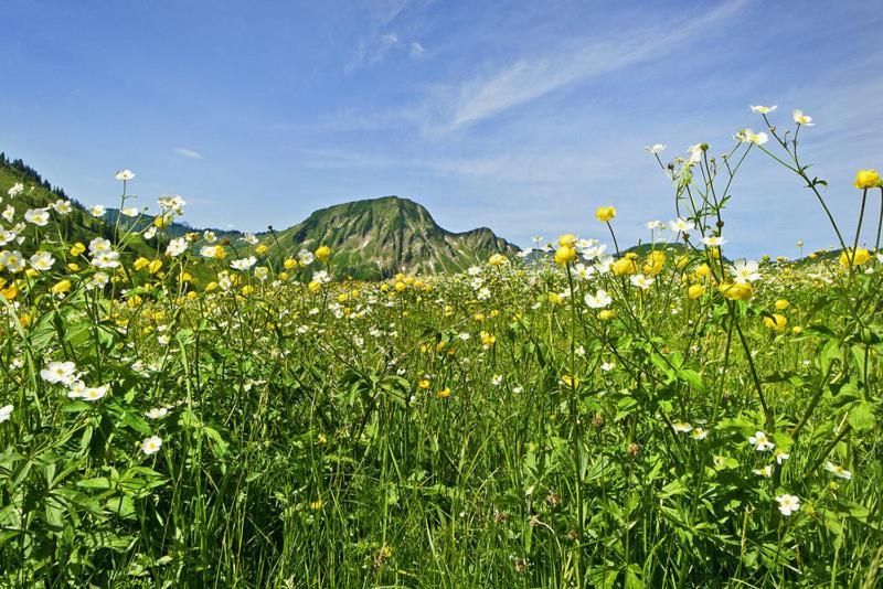 Ferienwohnungen Schantl Schoppernau Luaran gambar